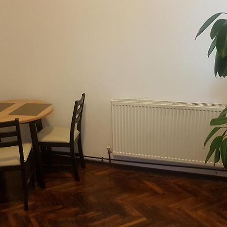 Cosy Studio-Apartament Nagyvárad Kültér fotó